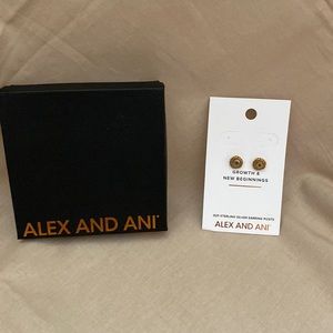 Alex and Ani earrings